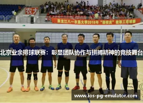 北京业余排球联赛：彰显团队协作与拼搏精神的竞技舞台