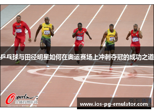 乒乓球与田径明星如何在奥运赛场上冲刺夺冠的成功之道