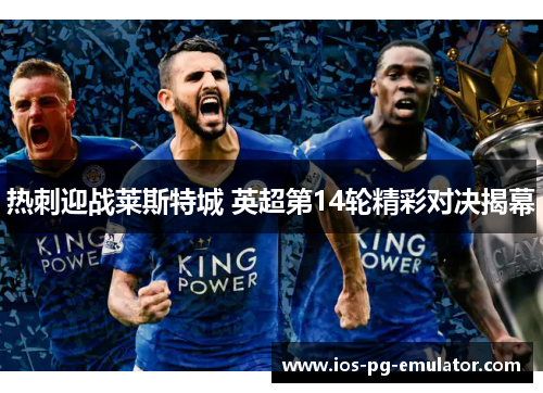 热刺迎战莱斯特城 英超第14轮精彩对决揭幕