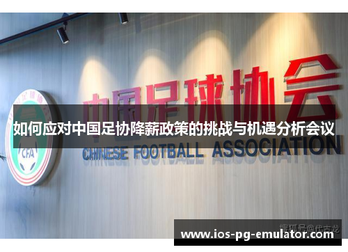如何应对中国足协降薪政策的挑战与机遇分析会议