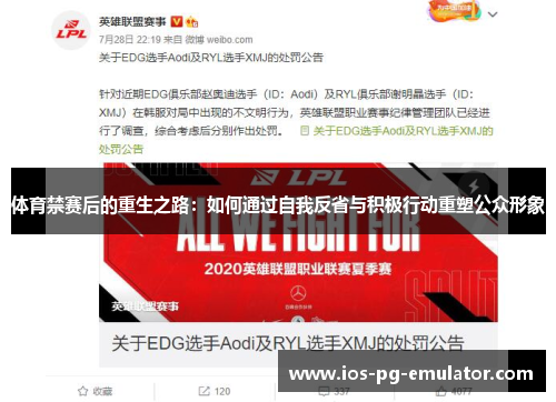 体育禁赛后的重生之路：如何通过自我反省与积极行动重塑公众形象