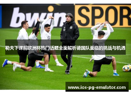 勒夫下课前欧洲杯热门话题全面解析德国队面临的挑战与机遇