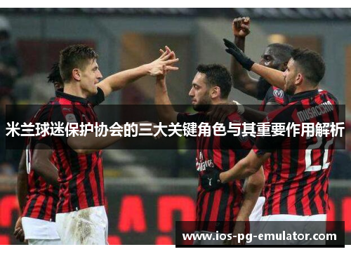 米兰球迷保护协会的三大关键角色与其重要作用解析 米兰球迷保护协会的三大关键角色与其重要作用解析