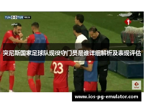 突尼斯国家足球队现役守门员是谁详细解析及表现评估