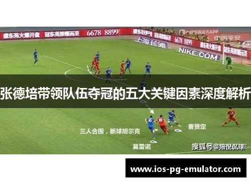 张德培带领队伍夺冠的五大关键因素深度解析