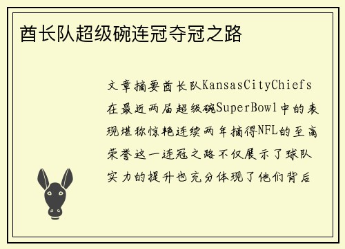 酋长队超级碗连冠夺冠之路 酋长队超级碗连冠夺冠之路