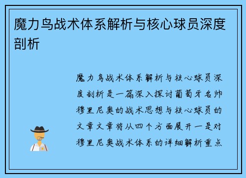 魔力鸟战术体系解析与核心球员深度剖析